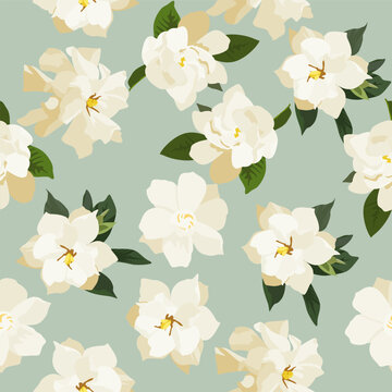 A seamless pattern of Gardenia flower. vector illustation. Gardenia flower background.