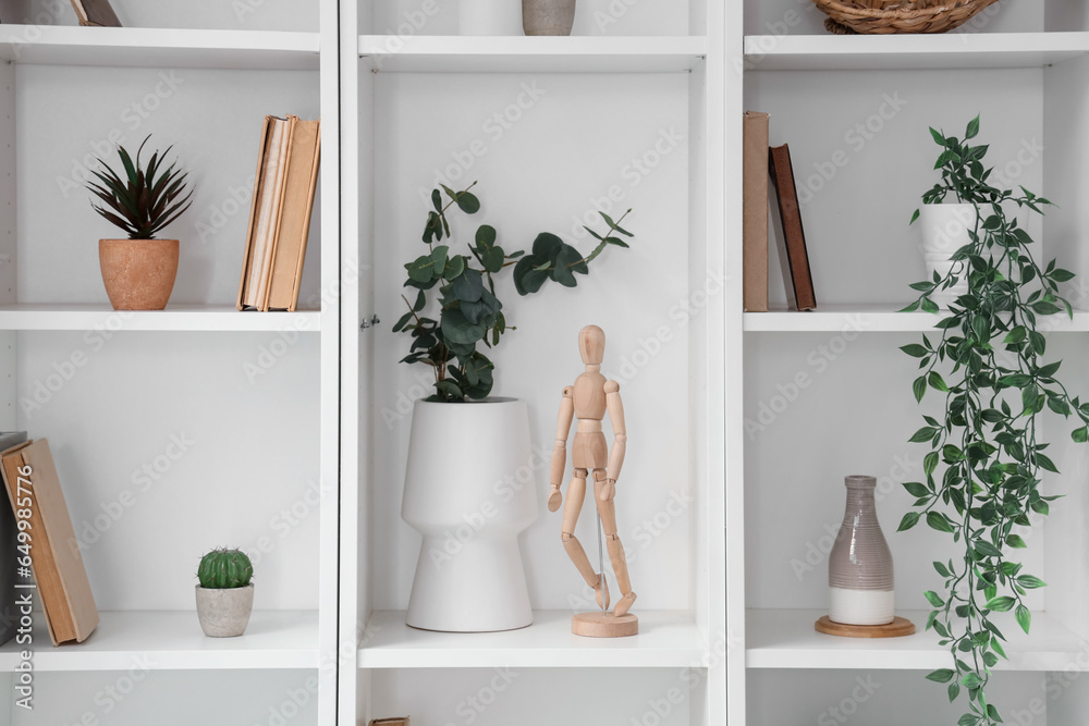 Shelves with wooden mannequin, houseplants and books, closeup
