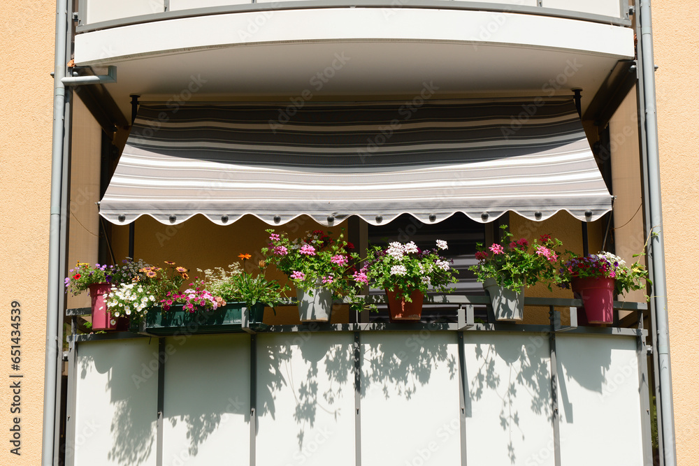 View of balcony with beautiful flowers in pots on sunny day