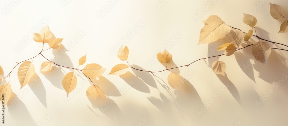 Silhouette of leaves on beige background with transparent blurry shadow in morning sunlight