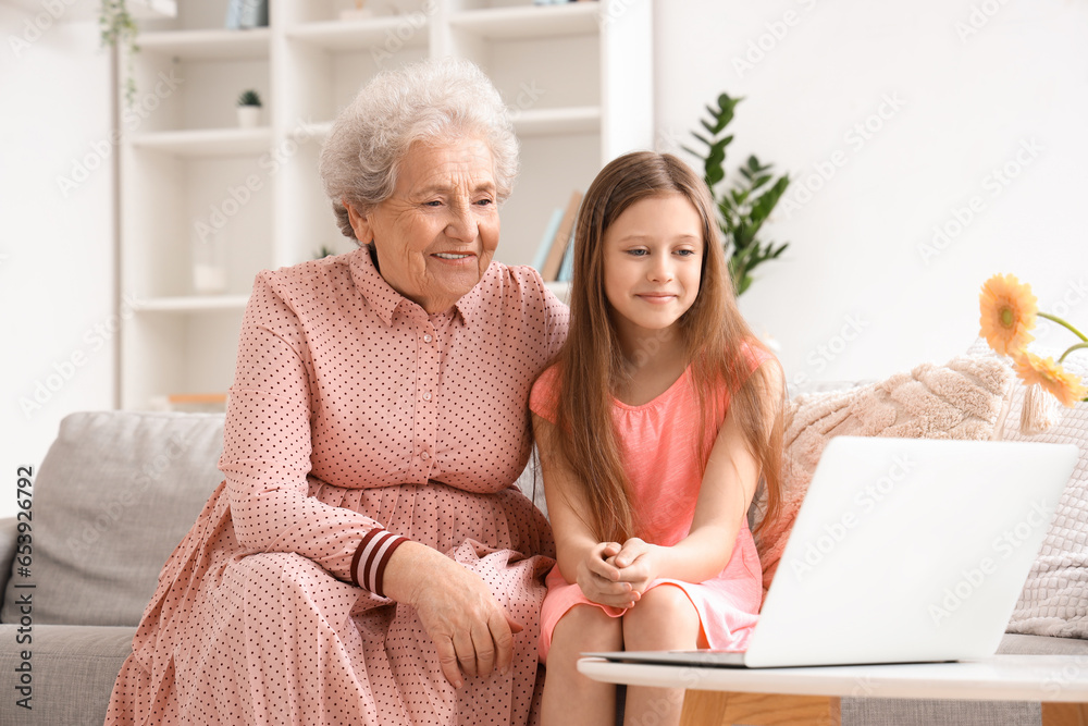 Little girl with her grandmother watching video at home