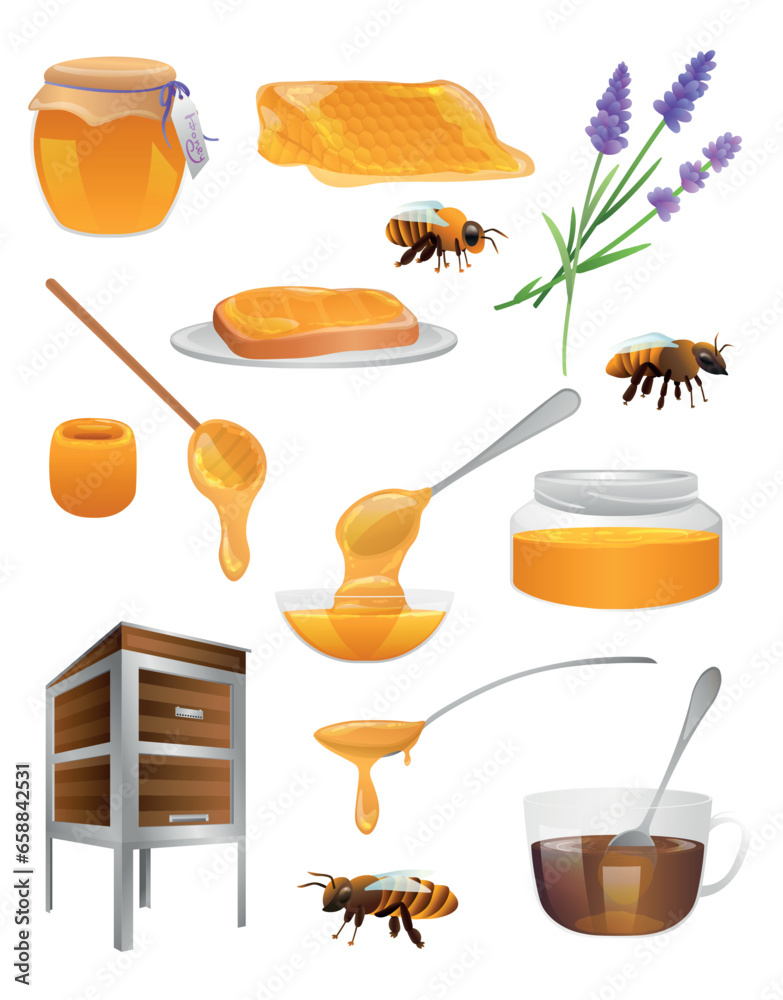 Group of sweet honey with bees, lavender flowers, hive, comb and toast on white background