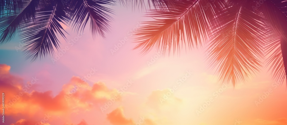 Silhouette palm tree on sunset sky with abstract background Summer travel concept