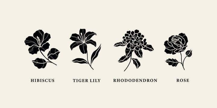 Flat vector hibiscus, tiger lily, rhododendron, rose