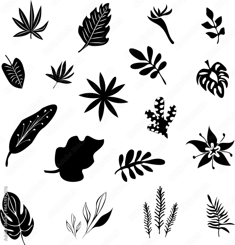 Set of black doodle silhouettes of tropical leaves palm, trees. Vector illustration