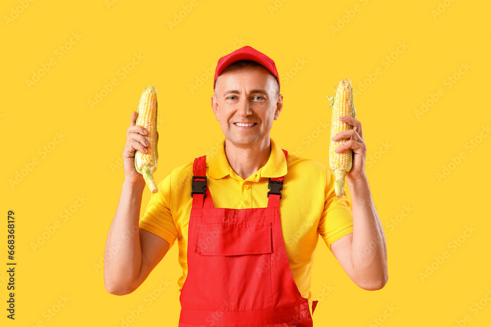 Mature male farmer with ripe corn cobs on yellow background