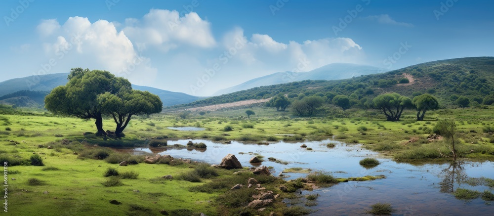 Spanish marshland in Casares de Arbas