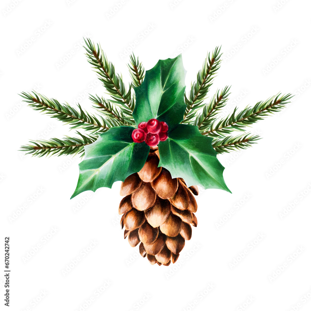 Watercolor hand drawn cone with holly berry, pine branch. New year botanical illustration of pine, spruce, cedar, fir and larch cone isolated on white background. For designers, decoration, shop, for