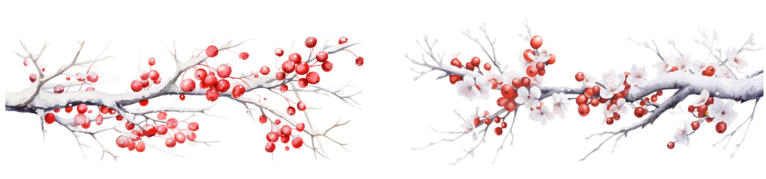 Vector watercolor illustration branches with snow，winter or spring branches，Christmas branches	