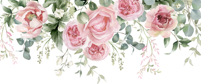 水彩花卉边框。粉色花朵和桉树绿叶花束。灰玫瑰、柔和浅粉色牡丹 - 边框、花环、框架。完美的婚礼用品、问候、时尚、背景