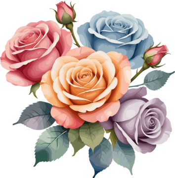 美丽的玫瑰剪贴画，六月生日月花的水彩花卉插图，植物学、婚礼、祝贺、情人节、爱情、关怀、母亲、教师、周年纪念日、生日、女性化、印刷品