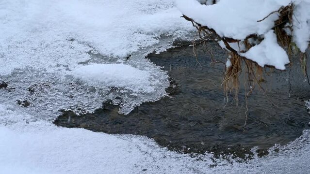 Pools begin to freeze over as winter begins along the Soda Butte Creek, Yellowstone National Park.