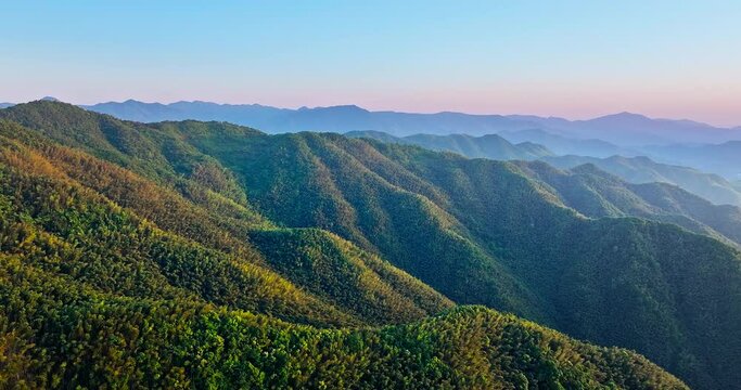 Aerial view of green forest and mountain nature landscape at sunset. Beautiful mountain range background.