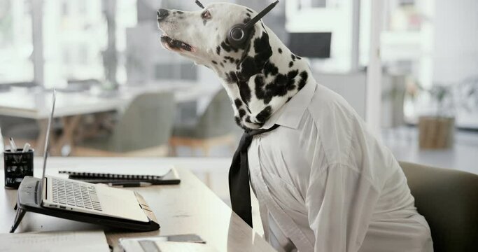 Office, business and dog with headset at desk for call center, customer service and telemarketing agency. Pet, animal and Dalmatian with laptop in professional workplace for humor, comedy and comic