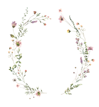 水彩仲夏花束合集，手绘精致叶片与野花