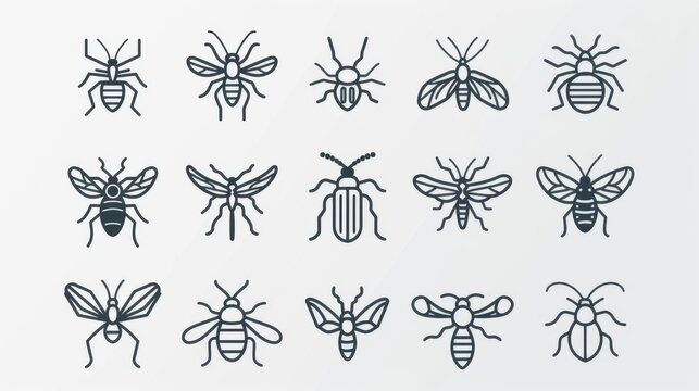 A collection of various insect line icons sketched in a minimalist style isolated on a white background