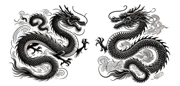 ビンテージスタイルの龍（ドラゴン）のイラストセット／白黒の手描きスケッチ