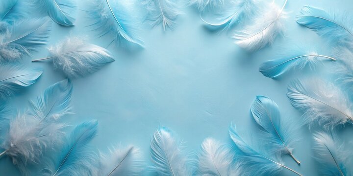 A background of delicate blue color feathers arranged in a minimalist style , color, feathers, minimalist, blue, background
