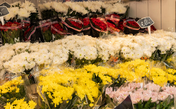 荷兰海牙哈格斯市场摊位上的各种切花