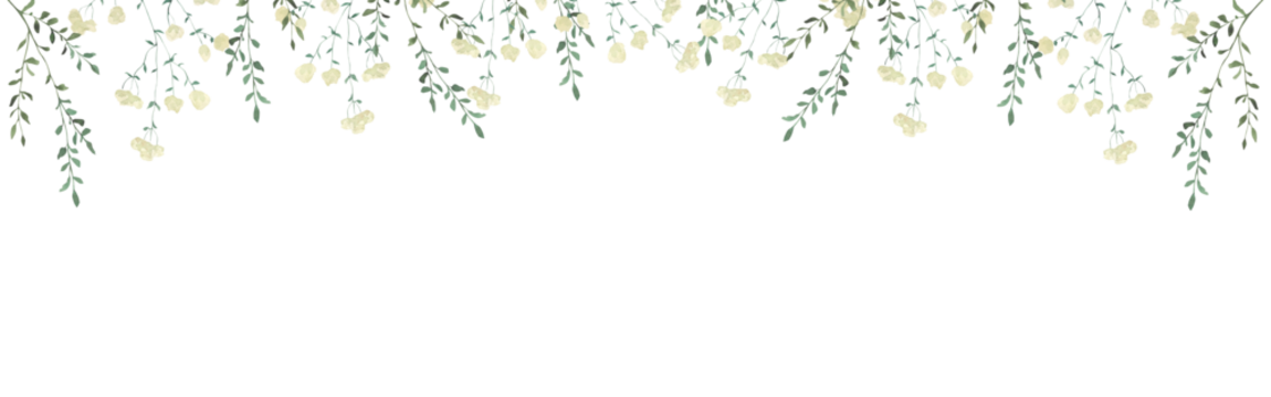 带有各种草药水彩插图的框架。带有手绘绿色草药树枝的框架。非常适合婚礼、生日、季节性节日。