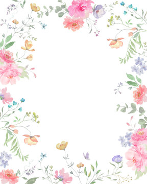 带有手绘柔美花朵、桉树、草本植物和蝴蝶的水彩花卉边框。手绘花卉插画。用于请柬、贺卡。矢量EPS格式。