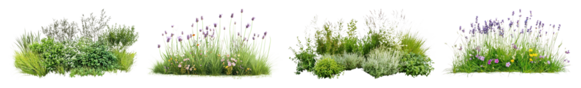 PNG格式的繁茂花园花卉布置美景元素集，透明背景