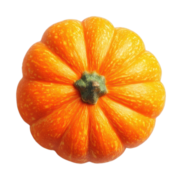 PNG格式的鲜艳橙色南瓜（孤立图像）