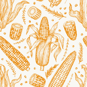 手绘矢量甜玉米无缝图案。非人工智能生成。秋季背景。秋季农场插画。复古丰收壁纸。