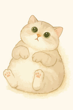 A lovely fluffy cat look up