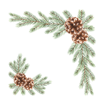 带松果的云杉树枝：一套角落边框隔离插画，含圣诞设计用水彩边框、冬季节日包装手绘松枝及带留白的卡片模板