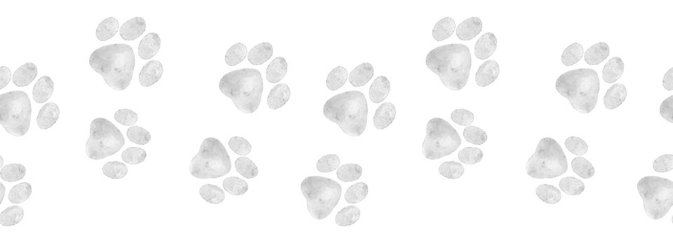 水彩无缝边框，柔和灰色爪印构成俏皮的无缝线条。非常适合纺织品印花、包装纸、宠物产品包装以及富有创意的动物主题项目。