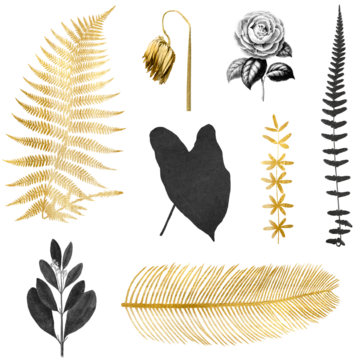 手绘PNG树叶花朵金属金色黑色复古贴纸套装