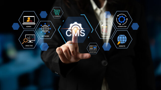 内容管理系统（CMS）的概念。一个用于网站管理、数字内容创建、工作流管理和电子商务集成的平台。费米子