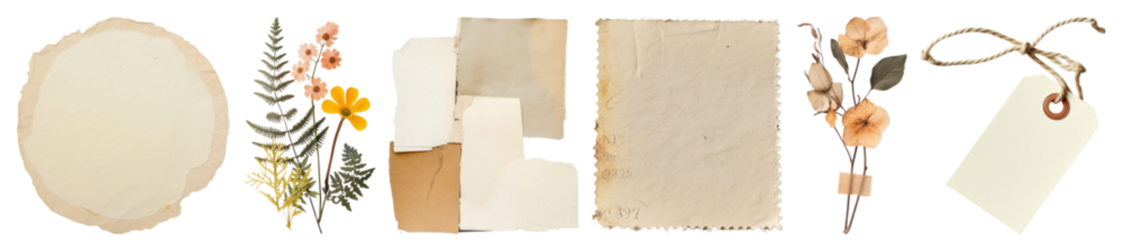 PNG复古纸质花卉拼贴元素，透明背景元素集