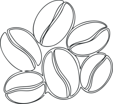 一幅极简线条艺术插画，展现咖啡豆独特的形状与细节