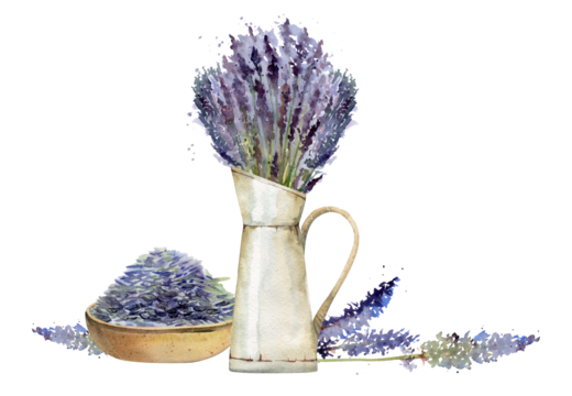 搪瓷水壶中的鲜切薰衣草、装干燥薰衣草种子的陶碗与单支花茎：水彩手绘孤立插画，质朴普罗旺斯风手工香薰放松产品