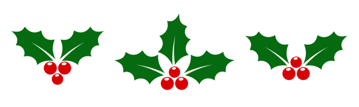 翻译标题：冬青浆果图标集，带冬青浆果的圣诞标志