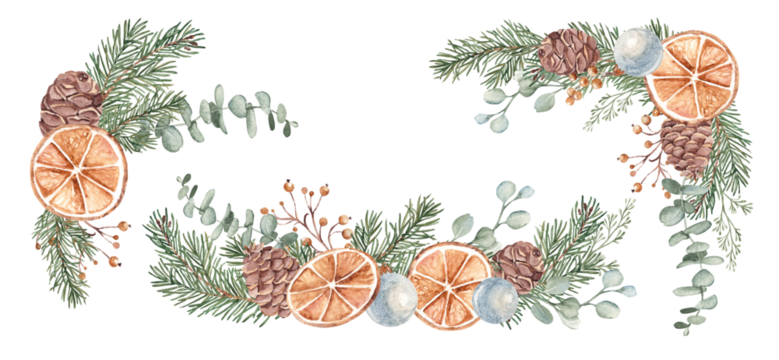 冬日植物水彩组合套装：圣诞或新年花束（含杉树枝、尤加利、松果及干橙片与蓝色玻璃球）手绘植物插画（孤立元素）