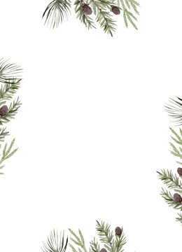 冬季绿植边框。带有松果的松枝，还有用于添加文字的柔和空间。