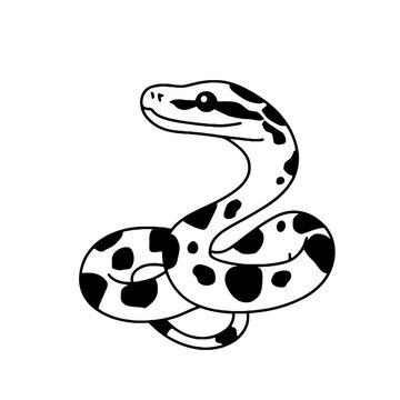 Python：简约黑白线条艺术矢量标志
