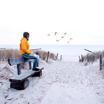 自 11 月以来，一个人一直坐在海滩的长椅上