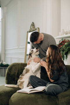 翻译标题：圣诞节假期，情侣在沙发上抚摸狗狗