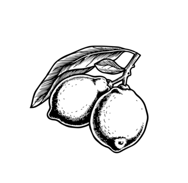 彩色柠檬树枝图案