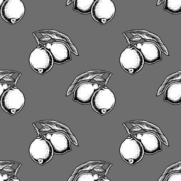 彩色柠檬树枝无缝图案。