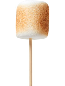 插在棒上的烤棉花糖，透明背景，非常适合用于甜点和篝火主题视觉呈现。