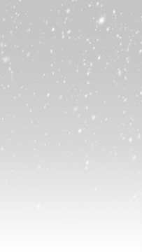 雪花、降雪、雪花冬季叠加透明飘落背景PNG 9:16矢量文件