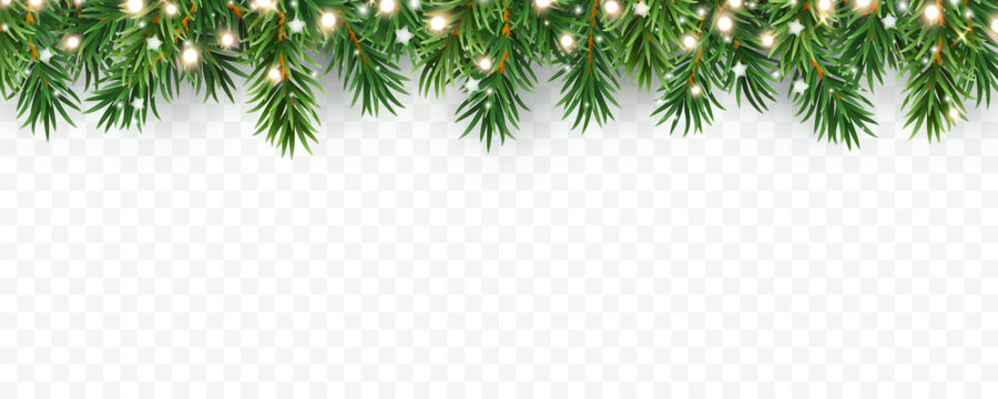透明背景下的绿色冷杉枝、灯饰与白色星星边框，松树圣诞横幅，矢量圣诞树花环装饰