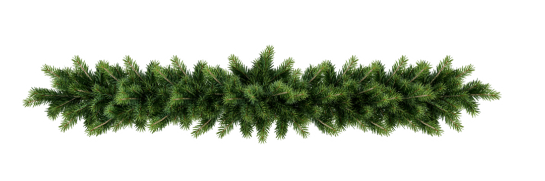 Christmas garland pine branches isolated on white background	