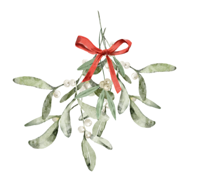 饰有缎带蝴蝶结的槲寄生花束水彩插画。温馨冬日设计。适用于邀请函、社交媒体及海报的手绘元素。