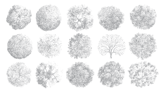 十五幅不同树木的俯视视角插画，以灰色点画法呈现于白色背景上